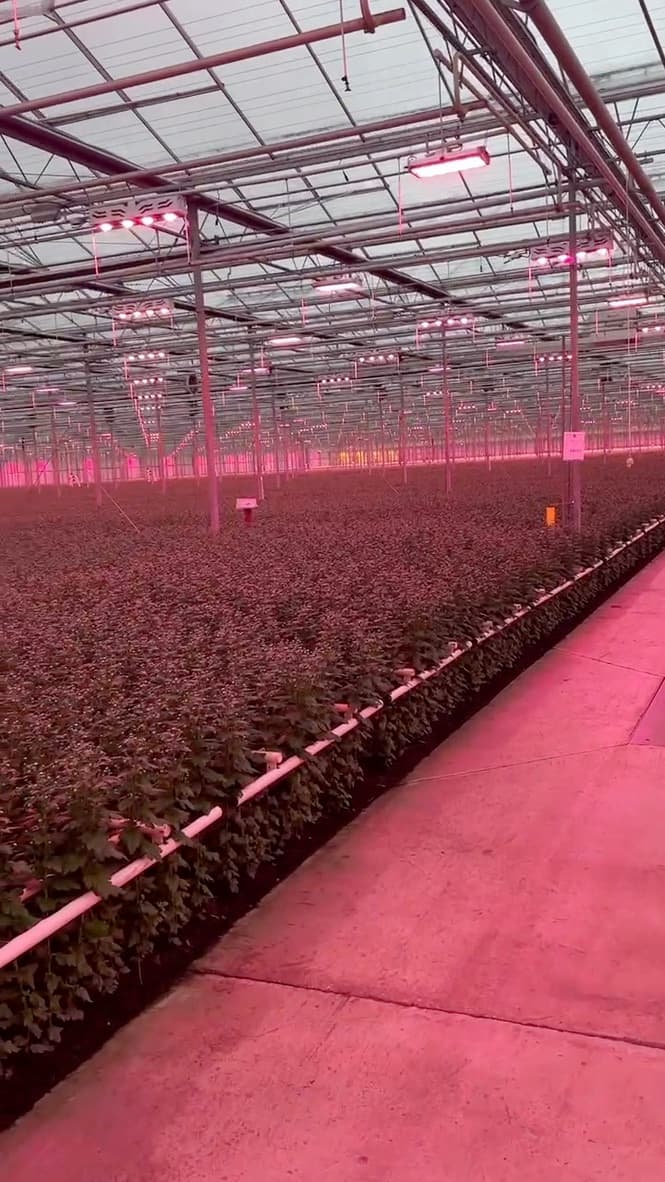 LED System Design Schematic