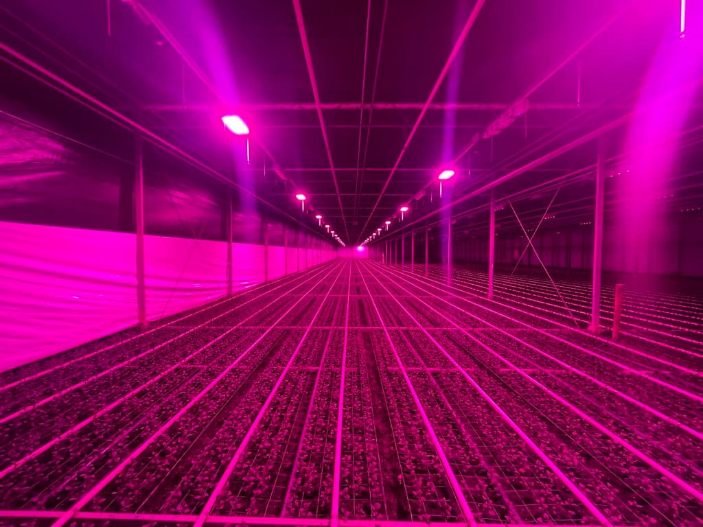 Custom LED Lighting System Final Product