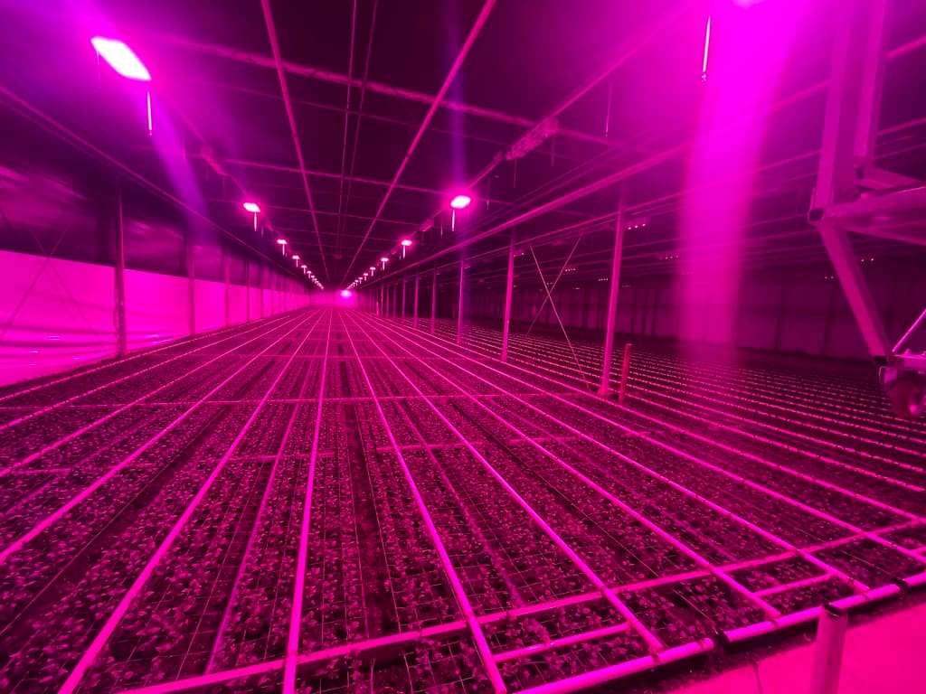 LED Prototype Testing